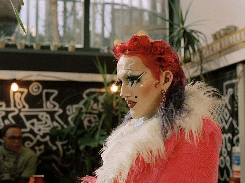 The Bisexual Extra Portrait Cervenova 2018